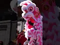 Download Lagu CHINESE NEW YEAR 2023 LION DANCE \u0026 FIRECRACKERS - SAN FRANCISCO CHINATOWN