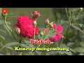 BUNGA MAWAR - NOVIA KOLOPAKING (KARAOKE) NOSTALGIA || Nada Wanita || B minor