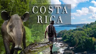 Download Dans la jungle du Costa Rica - Des animaux partout ! MP3