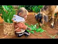 Download Lagu BiBi obedient helps dad take care of her friends