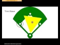 Softball Positions Basic