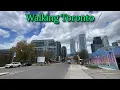 Walking Bathurst Street in Downtown Toronto Ontario 2026