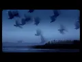Douran - Dawning Reality (Visualizer)