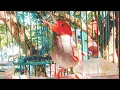 Download Lagu PALING DI CARI‼️SUARA PIKAT PRENJAK KEPALA MERAH JANTAN GACOR NGOTOT NEMBAK