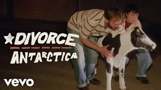 Divorce - Antarctica Visualiser