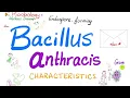 Download Lagu Kenmerken van Bacillus anthracis | Microbiologie 🧫 \u0026 Infectieziekten 🦠