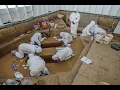 Dig Deeper Episode 81 - The 1607 Burial Ground 2025 Update