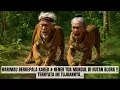 Download Lagu GEMPAR! Harimau Berkepala Kakek \u0026 Nenek Tua Muncul di Hutan Blora, Ternyata Ini Tujuannya...