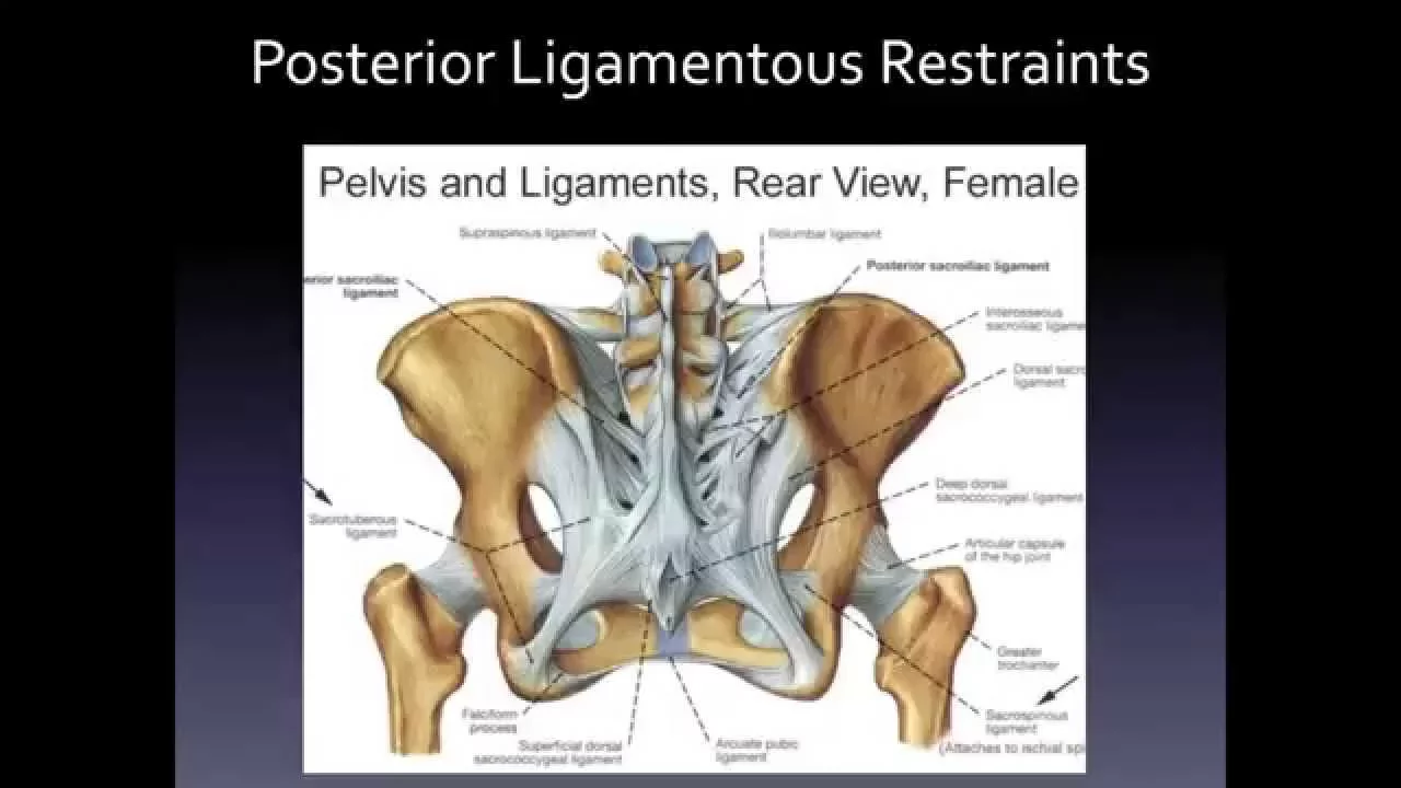 Spine Lecture: Far Lateral Lumbar Disc Herniation and Discectomy. 