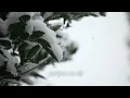 Download Lagu When The Winter's Gone   -   David Benoit feat. Jennifer Warnes / Lyrics