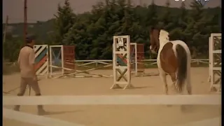 قبضة النمر الحلقة ٣٦ 