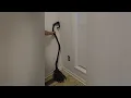 Cute tall witch broom for Halloween costume