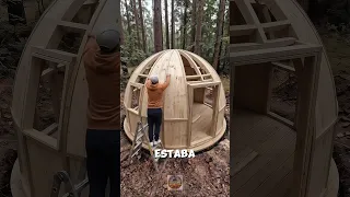 😱 Parecía un simple claro del bosque… ¡mira el refugio que construyó!