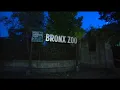 Bronx Zoo worker taken to hospital after being nipped by crocodile