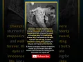 Bull-Fighter Steps Back Mid Fight After Looking Into the Bull's Eyes #shorts #innocent