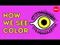 How we see color - Colm Kelleher