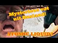 Lagu 853 ZWEDEN VLOG: MYSTERIEUS VAT UIT RUSLAND IN DE TUIN