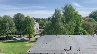 مهربانی در عمل   سفر ۲۱ روزه با آموزه های بودا  روز۱۱ دندنها