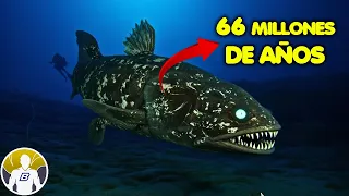10 Cosas Extrañas Encontradas bajo el Agua
