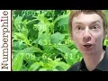 Primes are like Weeds PNT - Numberphile
