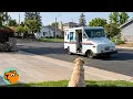 Dog Waits Outside Every Day For Her Favorite Mail Lady Cuddle Buddies