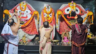 Divine Sandhya Alati Darshan Mahaprabhu Sri Jagannath || Jay Jagannath || RCM Jagannath Temple