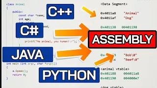 Object-Oriented Programming in Assembly Explained Vtables Polymorphism Python Java C C