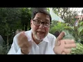 Download Lagu Pépe el toro es inocente. 18 de julio de 2025 - Noroña