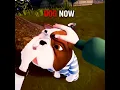 Download Lagu HELLO NEIGHBOR 2 DOG NOW VS THEN ☠️☠️☠️#horrorgame #stealthhorror #helloneighbor