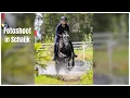 Download Lagu Tessa in actie voor de camera