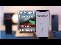 How to Backup Restore iPhone Using iTunes Step-By-Step