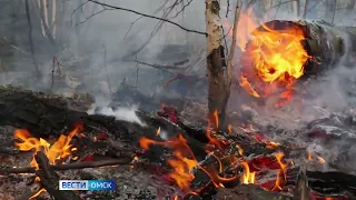В Омской области усилили авиамониторинг в связи с сухой погодой