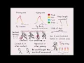 Walk Cycle Tutorial - Bipeds