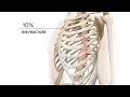 Management of Acute and Chronic Rib Fractures