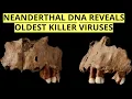 Download Lagu Oldest Human Viruses EVER Discovered In Ancient Neanderthal DNA