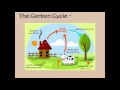 Nutrient Cycles Notes