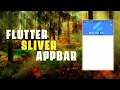 Sliver app bar Flutter example Flutter Collapsing Animated App Bar