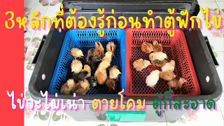 ระวังออกแบบตู้ฟักไข่ผิดไก่ตายโคมเลยนะ ทั้งตู้ฟักไข่ทำเองหรือซื้อที่คุณต้องรู้egg incubator design