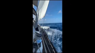 Now or Never! #shorts