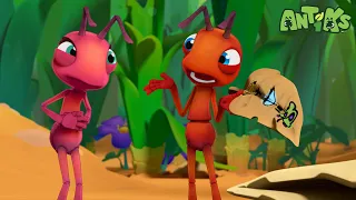 Ant Farm Antiks Funny Cartoons For Kids 