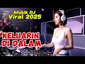 Download Lagu Keluarin di Dalam, Musik DJ Viral, Musik DJ terbaru 2025, koleksi Musik Remik Pro,