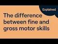 Gross Motor Skills vs Fine Motor Skills What s the difference