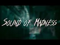 Download Lagu Shinedown - Sound of Madness | Lyrics