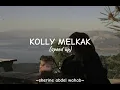 Arabic song Kolly melkak - Sherine (speed up)