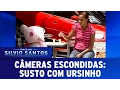 Download Lagu Susto com Ursinho | Câmeras Escondidas (05/02/17)