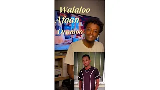 walaloo afaan oromoo guutuu isaa argachuuf karaa tiktok motihd argachuu dandeessu