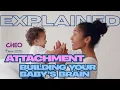 How Attachment Shapes Your Baby s Brain Parenting Tips from Ottawa Public Health CHEO