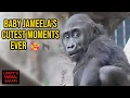 Lagu Baby Jameela’s Cutest Moments Ever! 🥰🦍