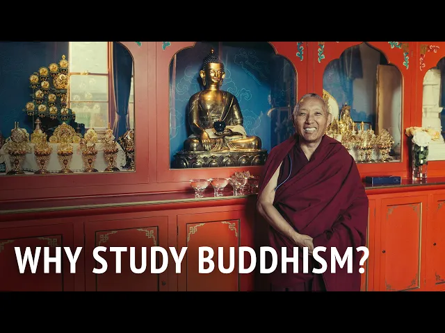 Why Study Buddhism? | Geshe Tashi Tsering