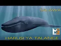 Download Lagu SALAWA __ HARUSI YA TALANGE (MBASHA STUDIO)